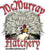 2011 logo shirt