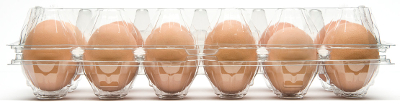 Bulk Plastic Egg Cartons