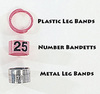 Leg Bands and Bandettes