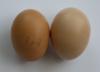 McMurray Hatchery | Murray's Big Red Broiler Eggs