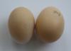 McMurray Hatchery Partridge Rock Eggs