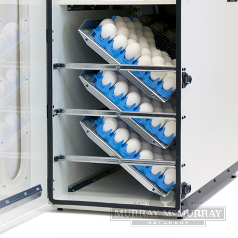 Egg Racks for High Hatch Incubators