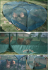 Chicken_PeckandPlay