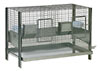Poultry Layer Cage