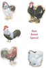 rare_breed_thumbnail