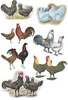 McMurray Hatchery special Assorted Bargin Jacky art drawing