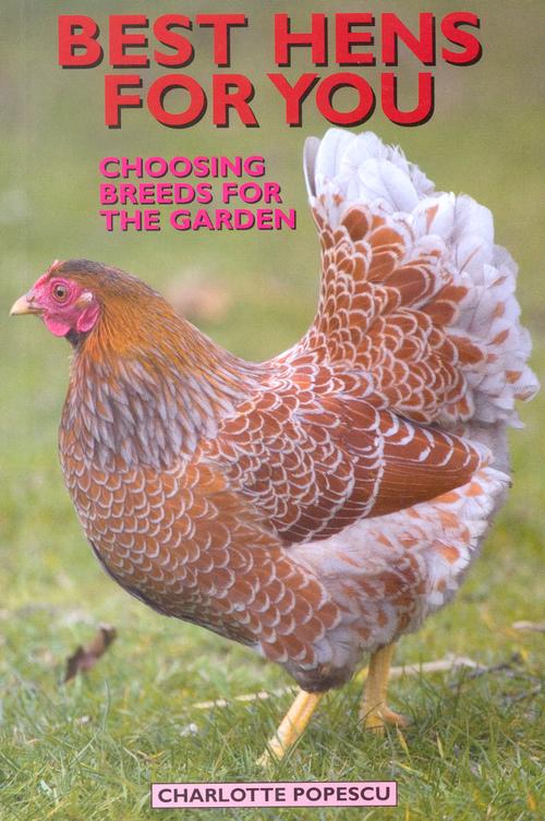 Murray McMurray Hatchery Best Hens For You