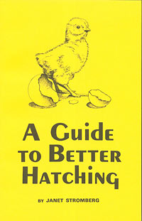 A Guide To Better Hatching