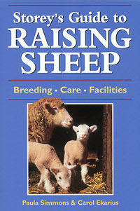 A Guide To Raising Sheep