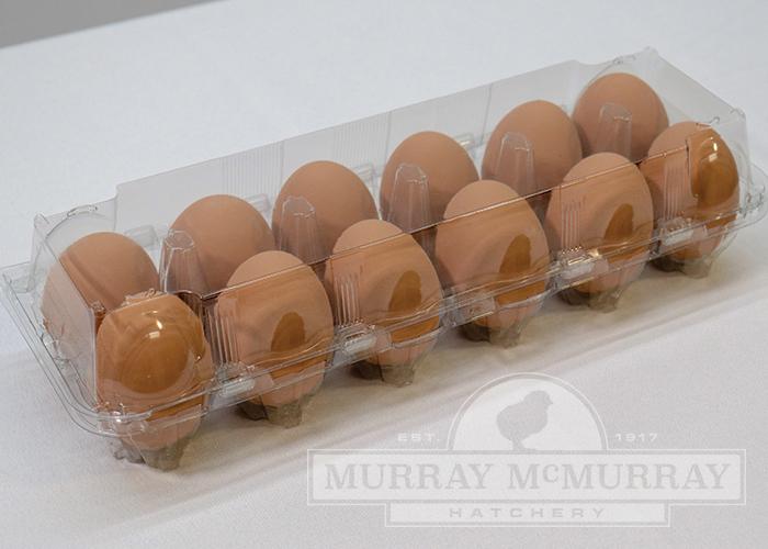 Murray McMurray Hatchery Clear Plastic Egg Cartons