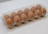 Murray McMurray Hatchery | Clear Plastic Carton with Optional Lable | Egg Storage