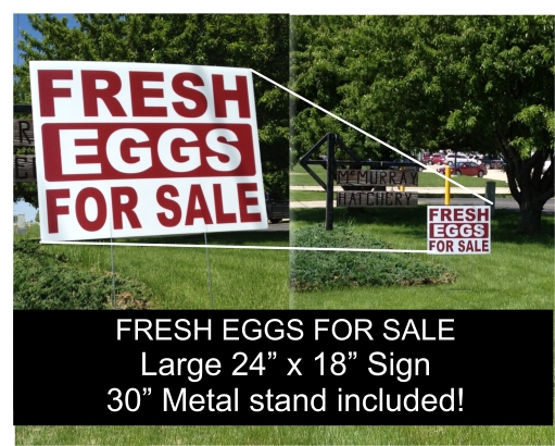 Fresh Eggs for Sale Yard Sign