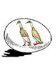 McHatchery Hatchery Fawn and White Runner Duck Hatching Eggs Jacky art drawing