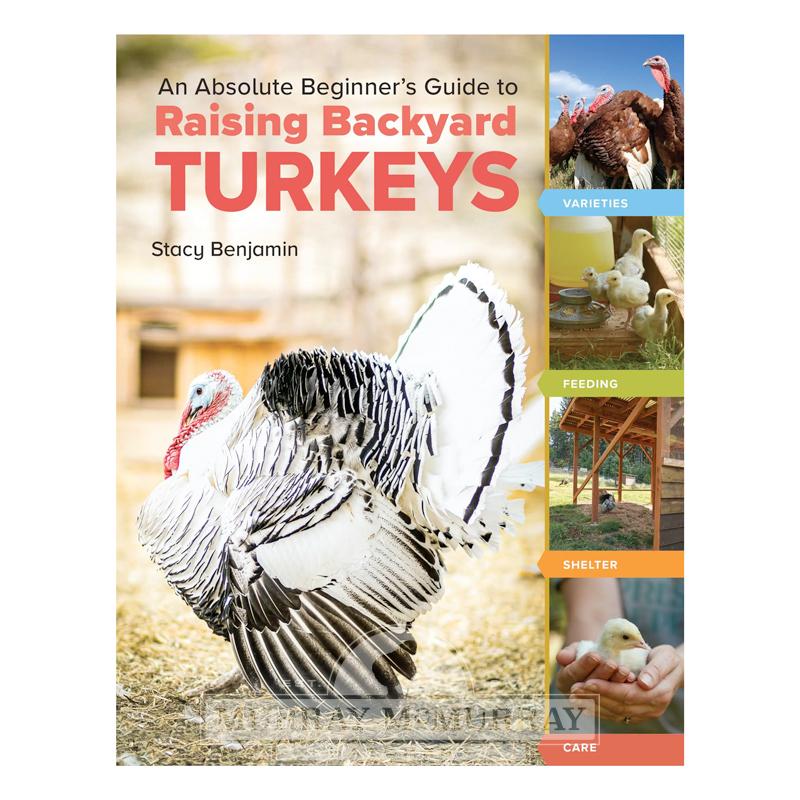 McMurray Hatchery | Absolute Beginner's Guide to Raising Backyard Turkeys