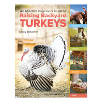 McMurray Hatchery | Absolute Beginner's Guide to Raising Backyard Turkeys