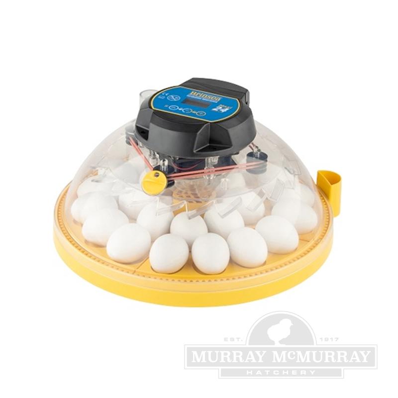 McMurray Hatchery Brinsea Maxi 24-Egg Advance Incubator