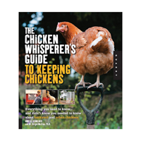 McMurray Hatchery | The Chicken Whisperer's Guide to Keeping Chickens