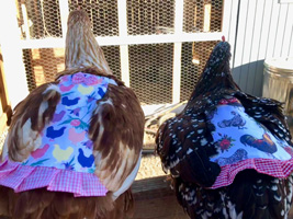 McMurray Hatchery - Chicken Aprons and Hen Saddles