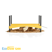 McMurray Hatchery EcoGlow 1200 Poultry Brooder