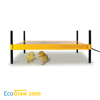 McMurray Hatchery EcoGlow 2000 Large Chick Brooder