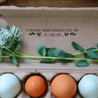 McMurray Hatchery Eggs Collected On Egg Carton Stamp