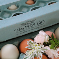 McMurray Hatchery Farm Fresh Eggs Egg Carton Stamp