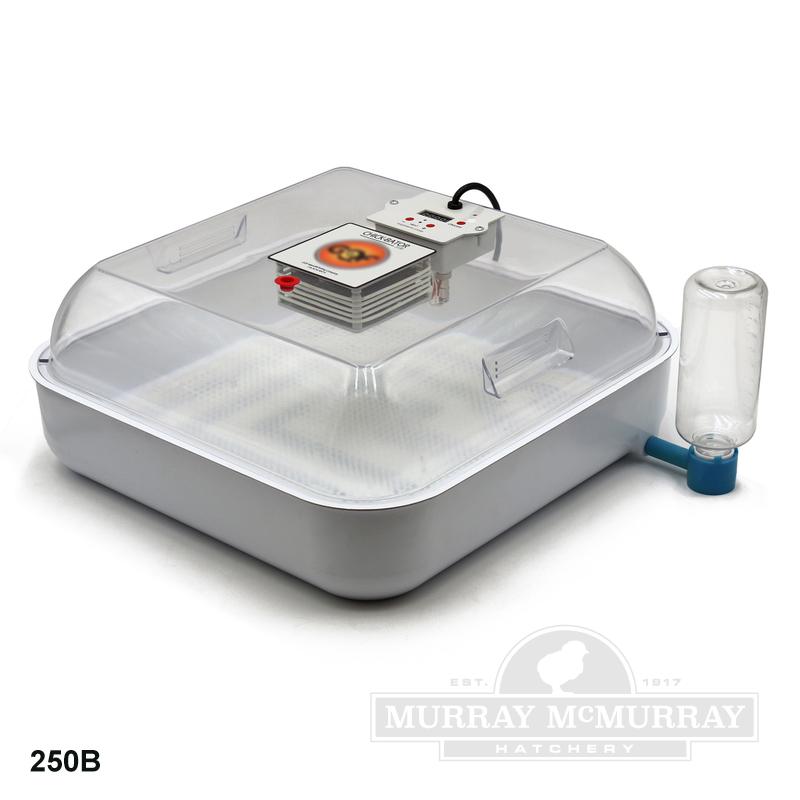 McMurray Hatchery Full View Chick-Bator Incubator
