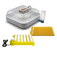 McMurray Hatchery Full View Chick-Bator Incubator w/ Chicken and Quail Turner | 252B