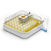 McMurray Hatchery Full View Chick-Bator with Turner / Univeral Egg Rack - 251B
