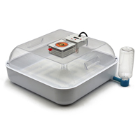 McMurray Hatchery Full View Chick-Bator Incubator | 250B