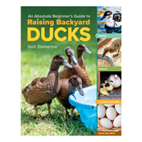 McMurray Hatchery Books | An Absolute Beginner's Guide to Raising Backyard Ducks by Gail Damerow