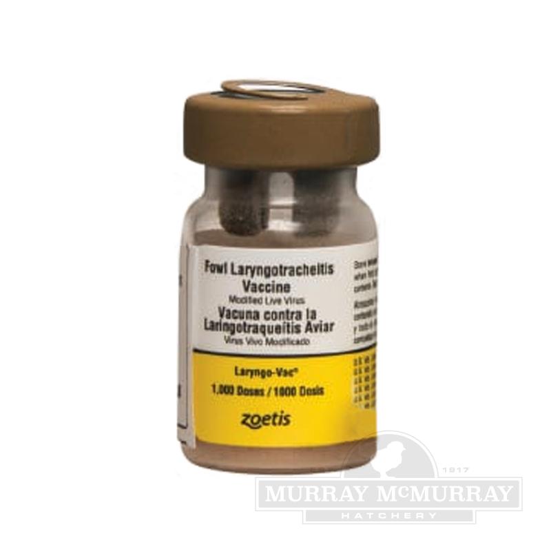 McMurray Hatchery | Laryngo-Vac Vaccine for Poultry