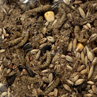 McMurray Hatchery | Murray's Best Organic Forage Cake | Closeup