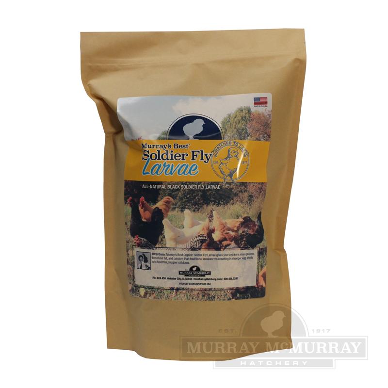 LuckyQ Dried Black Soldier Fly Larvae – Bulk BSF Treats For Chickens, Ducks, Birds, Reptiles, Hedgehogs