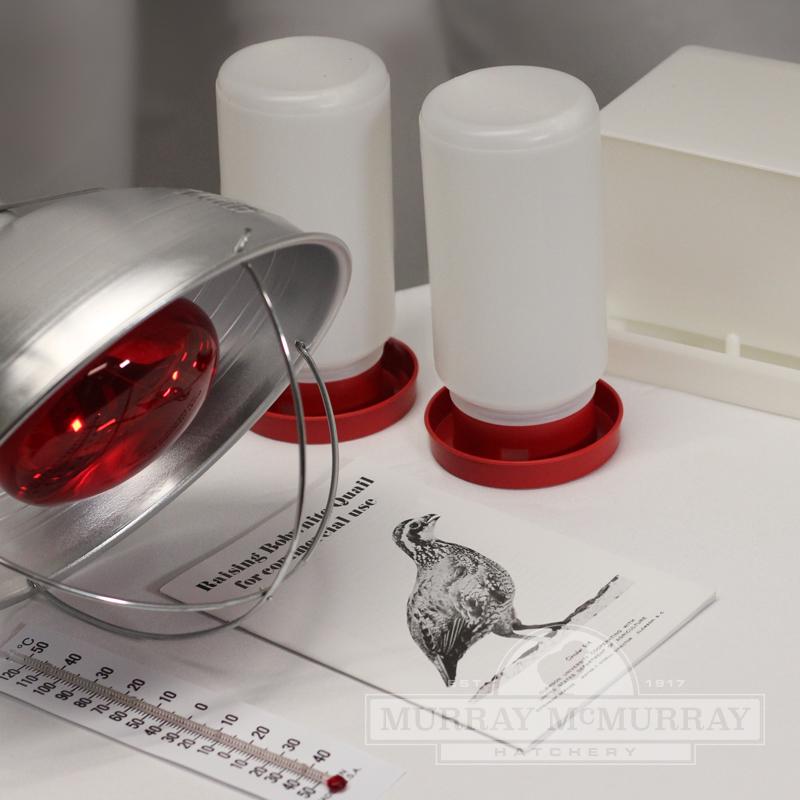 McMurray Hatchery Quail Starter Kit