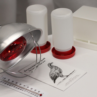 McMurray Hatchery Quail Starter Kit