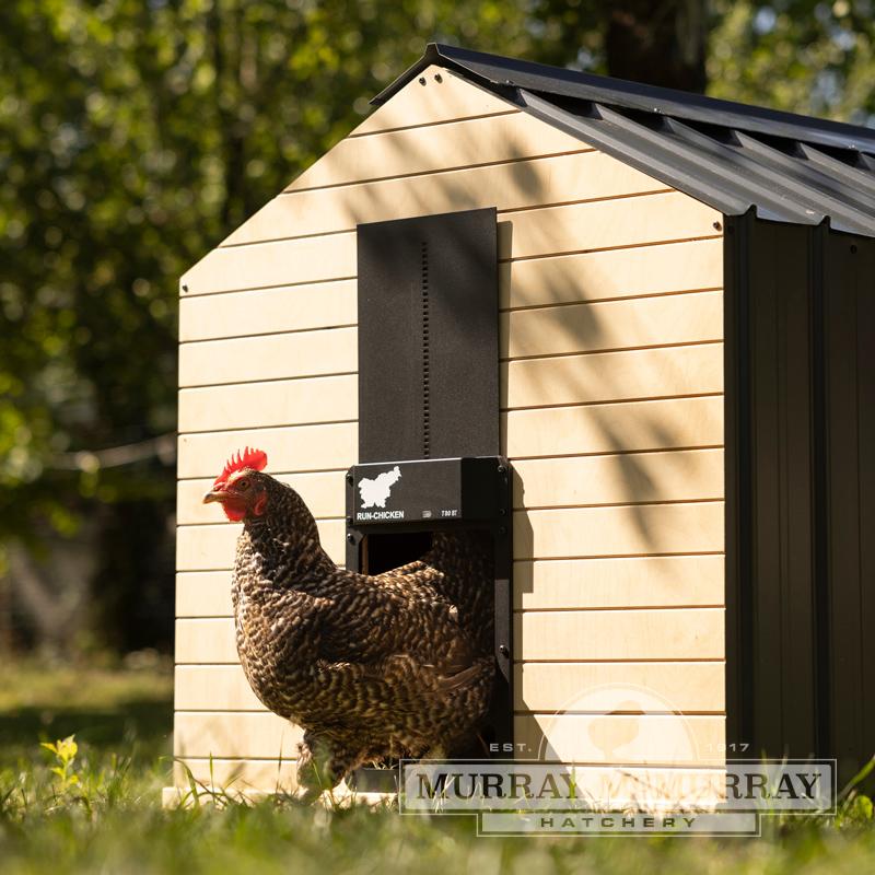 McMurray Hatchery Run-Chicken Automatic Chicken Coop Door