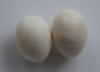 McMurray Hatchery Silver Leghorn Eggs