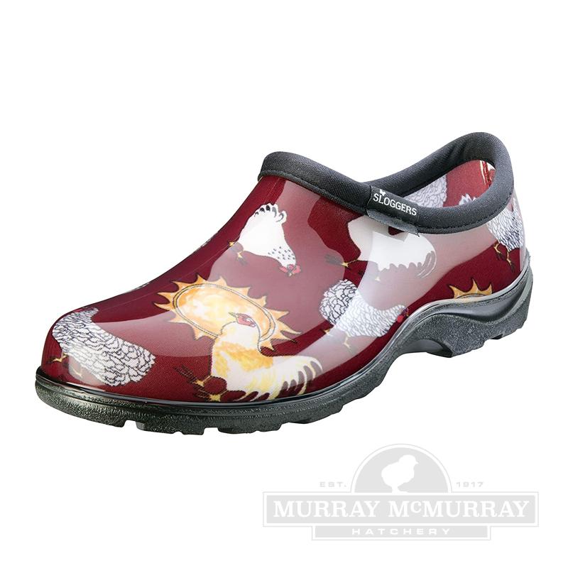 McMurray Hatchery Chicken Barn Red Shoes