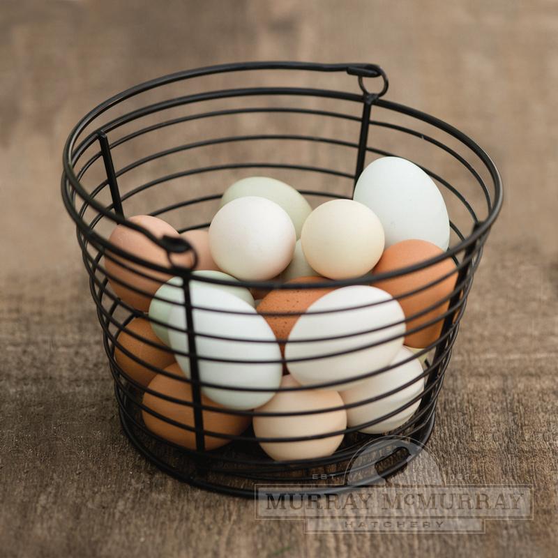 McMurray Hatchery Small Wire Egg Basket