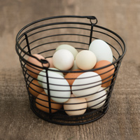 McMurray Hatchery Small Wire Egg Basket