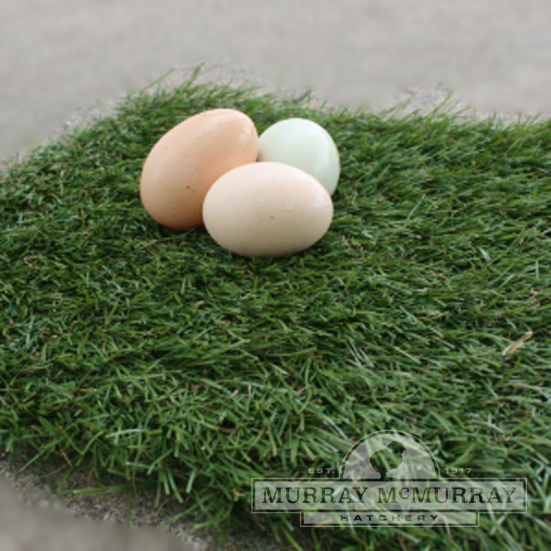 McMurray Hatchery Turf Nest Box Pads