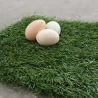 McMurray Hatchery Turf Nest Box Pads