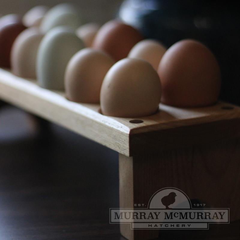 McMurray Hatchery Wooden Egg Holder