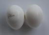 McMurray Hatchery Pearl White Leghorn Eggs
