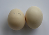 McMurray Hatchery White Laced Red Cornish eggs