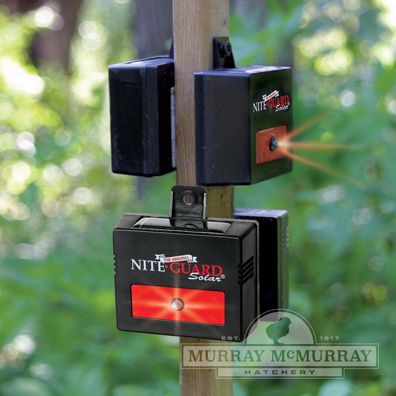 Nite Guard Solar Powered Predator Protection Light