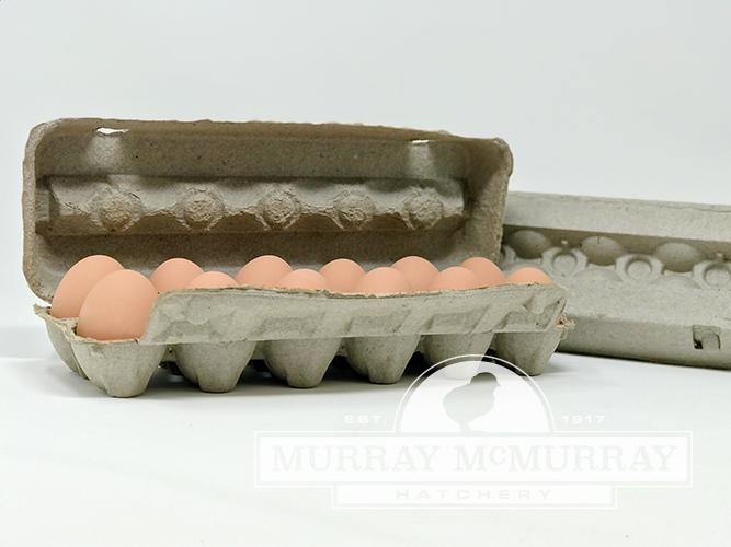 Paper Mache Egg Carton | MurrayMcMurray Hatchery | egg carton