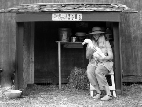 Murray McMurray Hatchery - Photo Gallery Detail