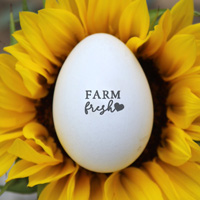 McMurray Hatchery Farm Fresh Egg Stamp